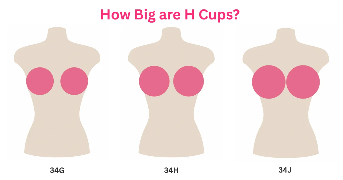 How Big Are H Cups? Size Guide & Visual Comparison (UK)