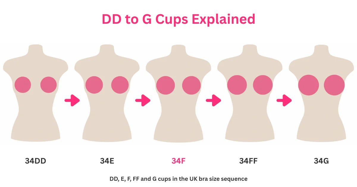 DD to G bra cup size comparison showing UK cup size progression from 34DD to 34G